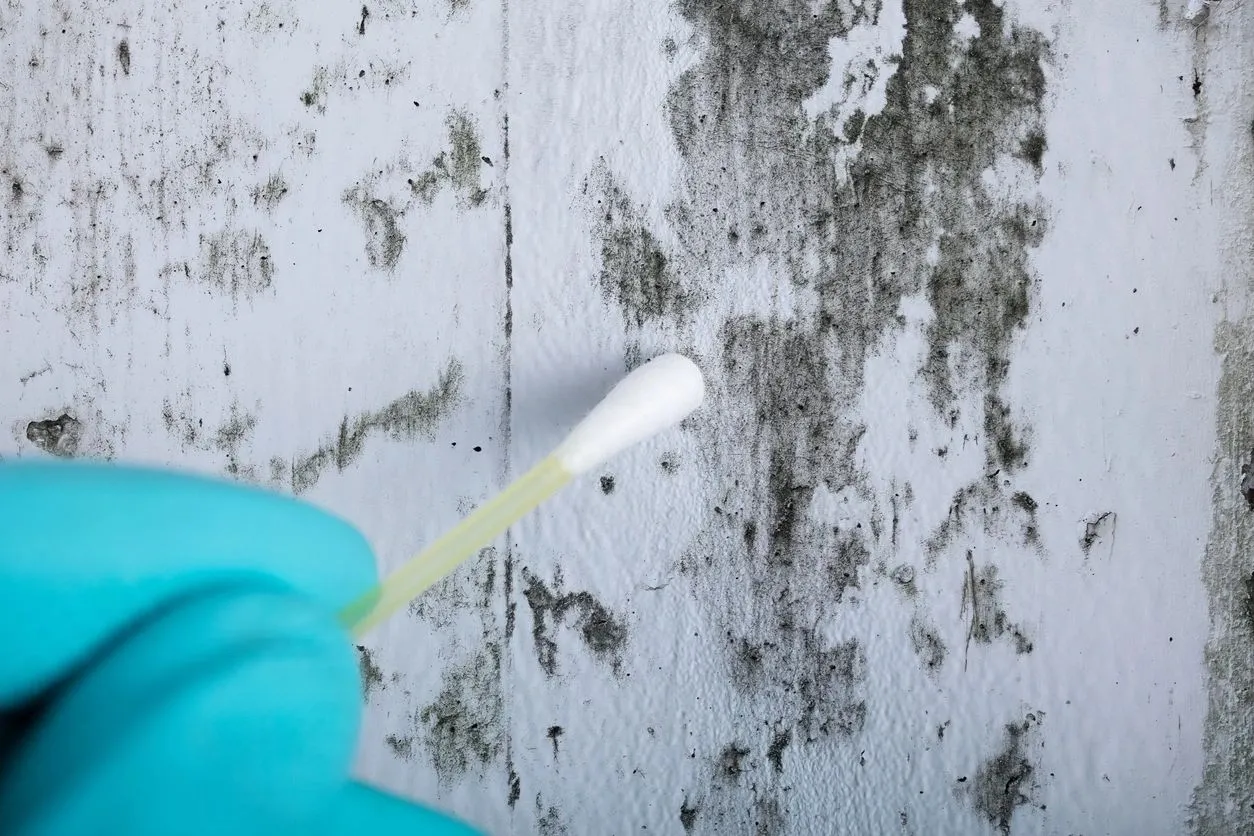 A person wearing blue gloves holding a toothbrush.